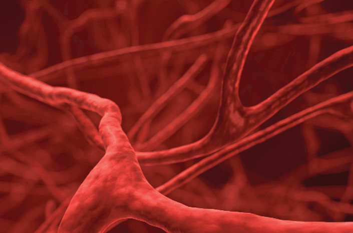 Santé veineuse : varices et hémorroïdes