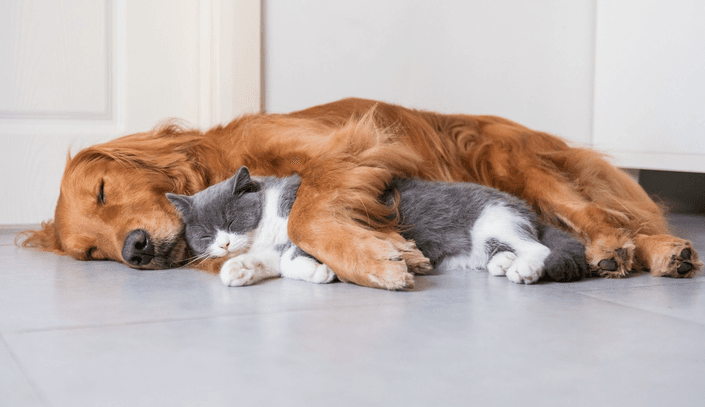 Un bon sommeil