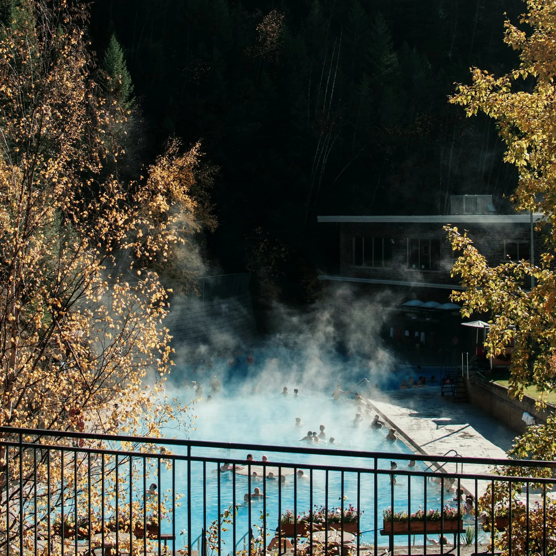 Bains extérieurs dans un environnement thermal boisé